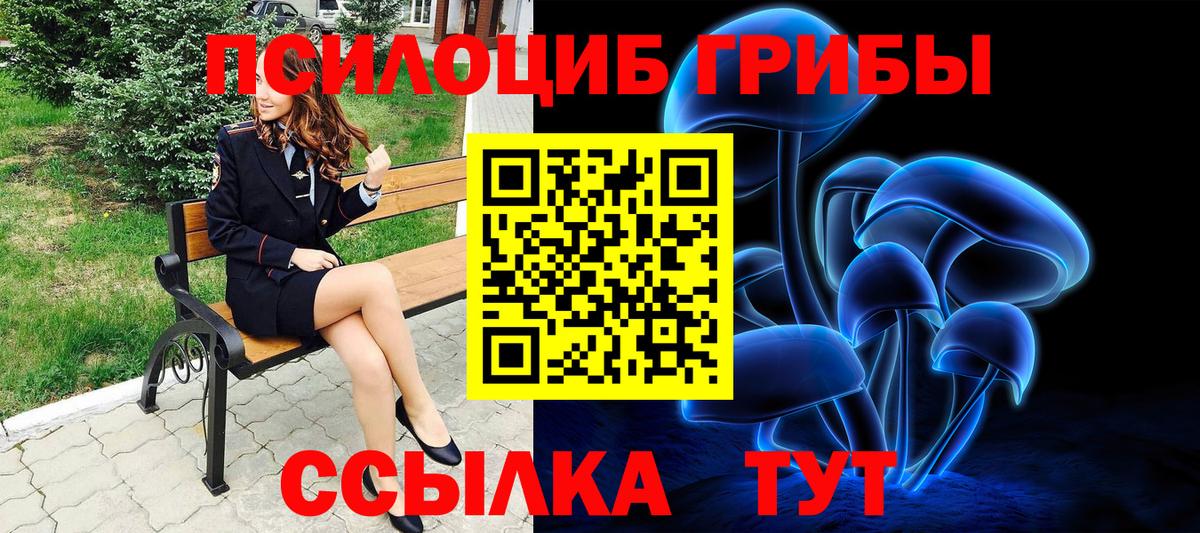 Псилоцибиновые грибы MAGIC MUSHROOMS Новокуйбышевск