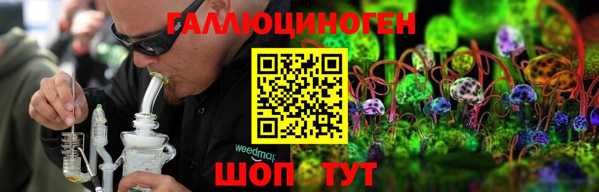 сколько стоит  Вход с VPN  Новокуйбышевск  Галлюциногенные грибы Psilocybine cubensis 